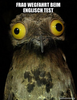 Weird Stuff I do Potoo