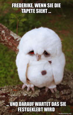 Sad Owl