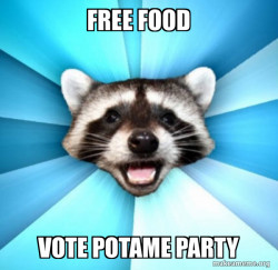 Lame Pun Coon