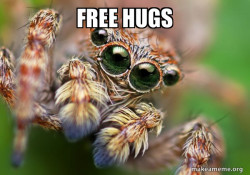 Hipster Spider