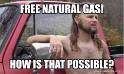 Almost Politically Correct Redneck