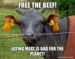 Hairless Cow