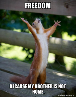 Happy Squirrel