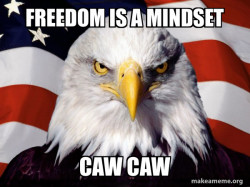 American Pride Eagle