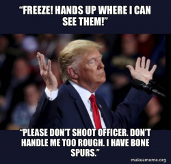 Trump Impeached
