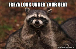 Evil Plotting Raccoon