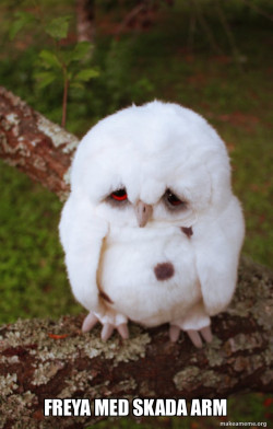 Sad Owl