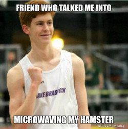 Success Ginger