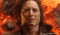 Frodo it's over it's done
