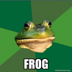 Foul Bachelor Frog