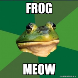 Foul Bachelor Frog