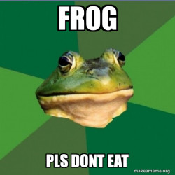 Foul Bachelor Frog