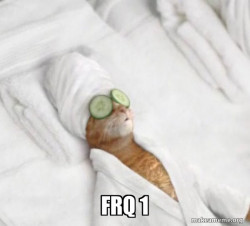 Pampered Cat Meme