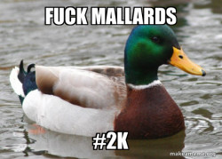 Actual Advice Mallard