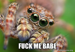 Hipster Spider
