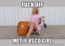 VSCO Girl