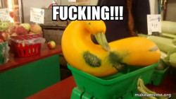 Gourd Advice Mallard