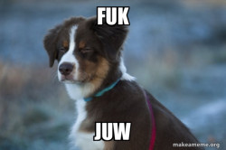 Unsure Dog