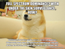Doge