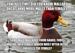 Daily truamatizing.