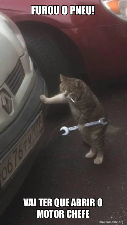 Mechanic Cat