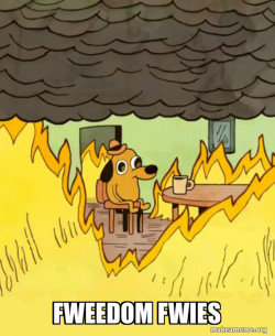 This Is Fine