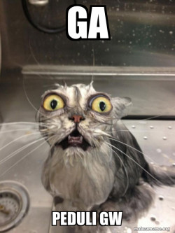 Cat bath
