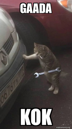 Mechanic Cat