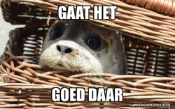 Impending Doom Seal
