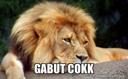 Confession Lion