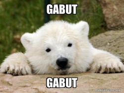 Popular Opinion Bear