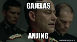 Mein Fuhrer