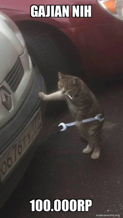 Mechanic Cat
