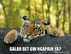 Confession Tiger