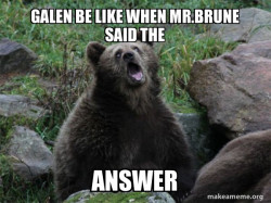Sarcastic Bear