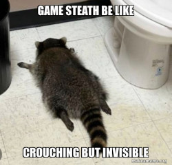 Drunk Raccoon