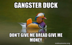 Fashionable Advice Mallard