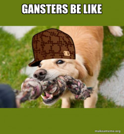 Scumbag dog