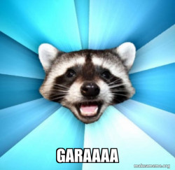 Lame Pun Coon