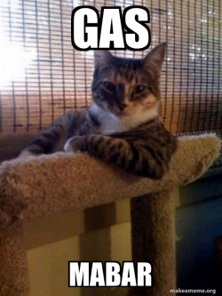 The Most Interesting Cat in the World