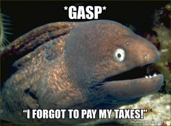 Bad Joke Eel