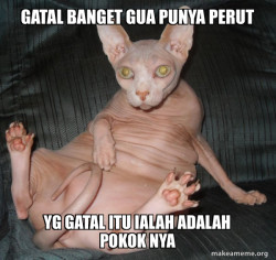 Hairless Cat