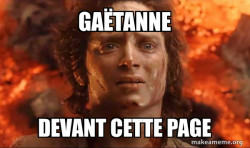 Frodo it's over it's done
