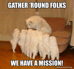 Funny Operation DOG