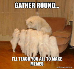 Storytelling Dog