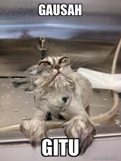 Cat Bath Returns