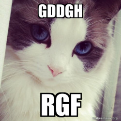 Ridiculously Photogenic Cat