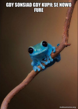 Small Fact Frog