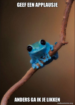 Small Fact Frog