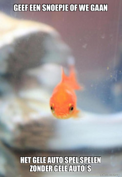 Grumpy Fish